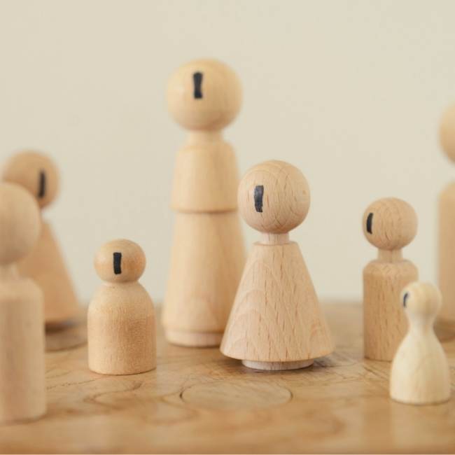 Systemisch Coaching voor zorg progessionals (2)